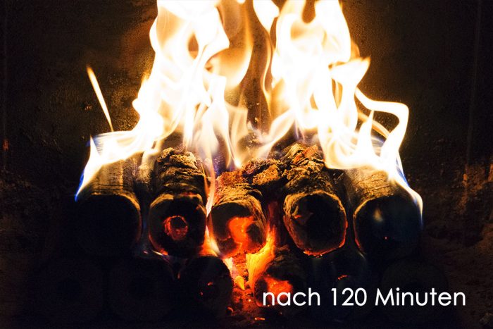 Holzbriketts Pini&Kay Premium